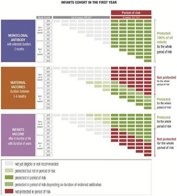 The assessment of future RSV immunizations: How to protect all infants?